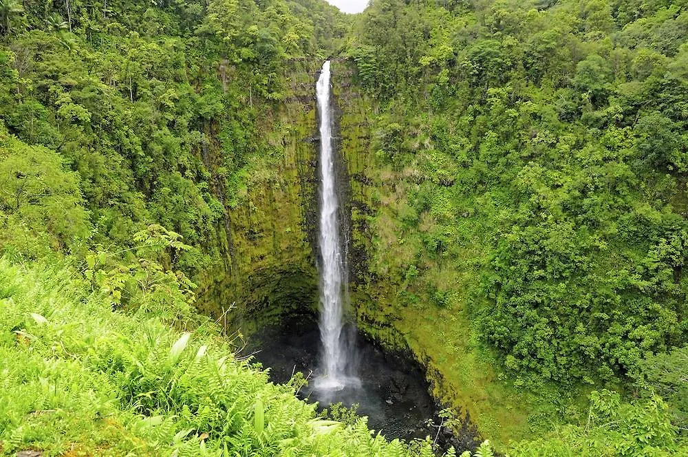 Scp Hilo Hotel