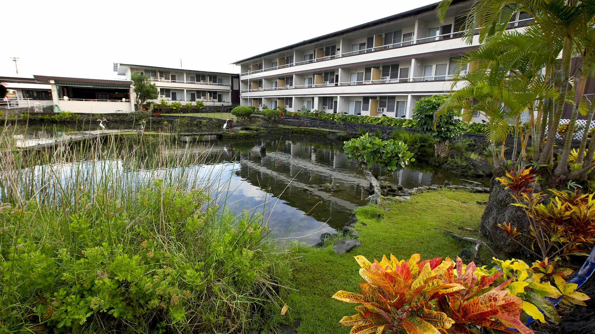 ****  Scp Hilo Hotel ארצות הברית